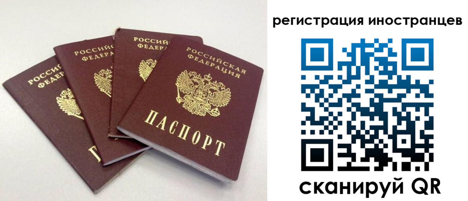 временная регистрация для школы в Алтае